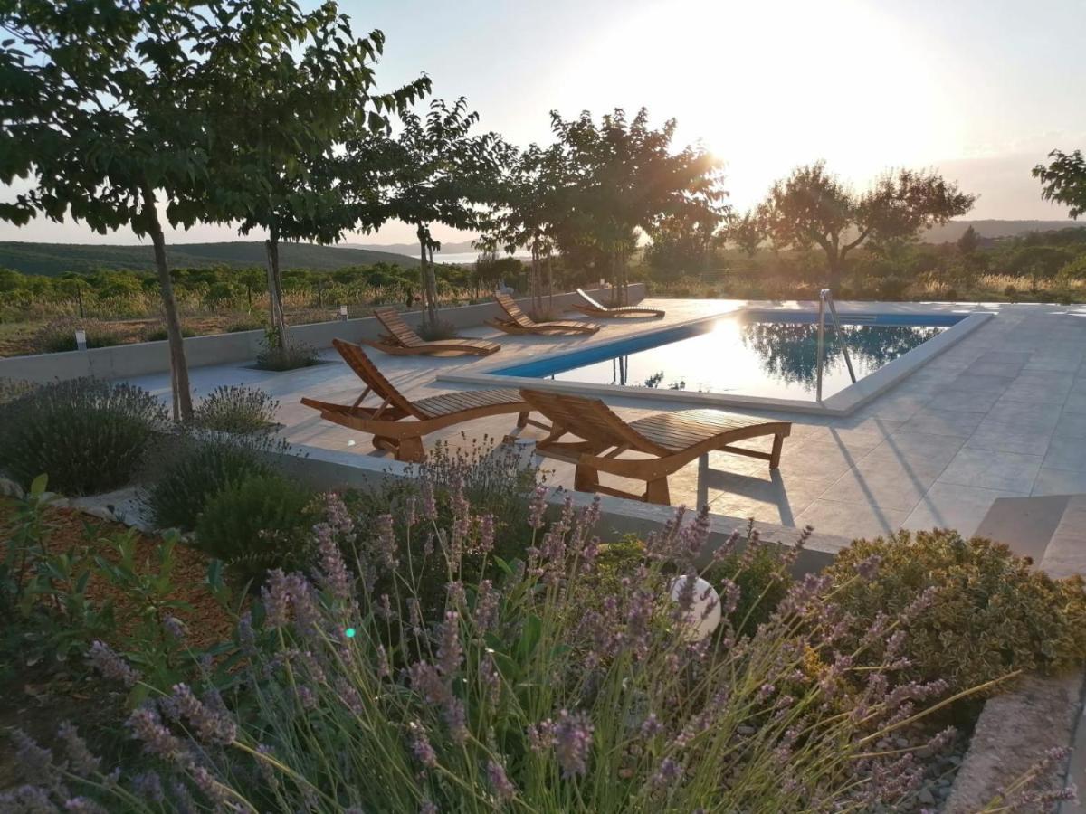 Villa Jelena Zadar Exteriör bild