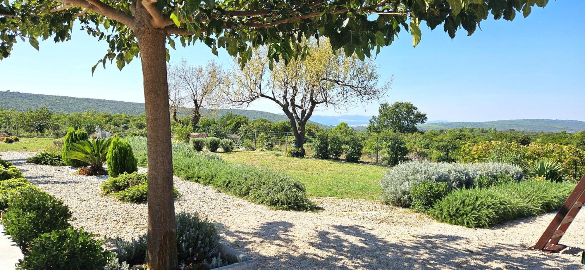 Villa Jelena Zadar Exteriör bild